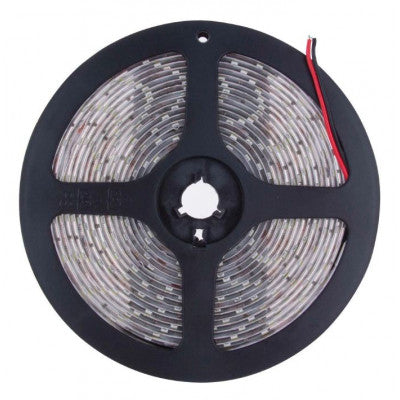 An Waterproof IP-65 3528 Blue SMD LED Strip - 5 Meter