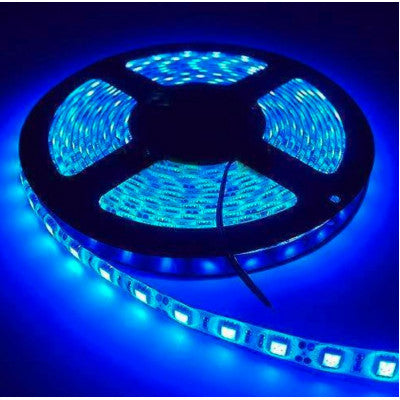 An Waterproof IP-65 3528 Blue SMD LED Strip - 5 Meter