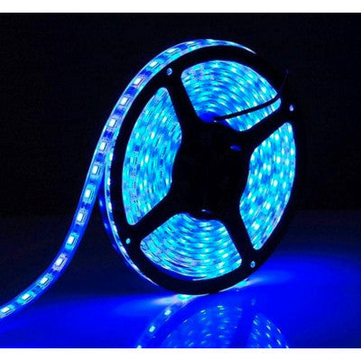 An Waterproof IP-65 5050 Blue SMD LED Strip - 5 Meter