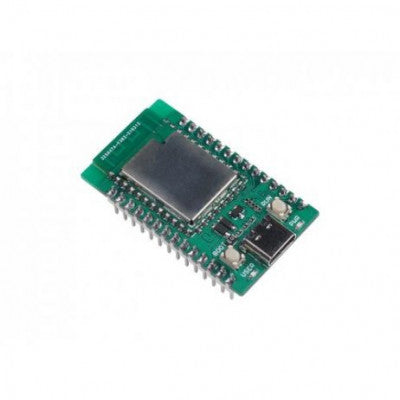 An Wio RP2040 mini Dev Board