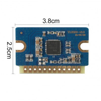 An YL2020 20W plus 20W Class D 12V-24V Mini Digital Power Amplifier Module